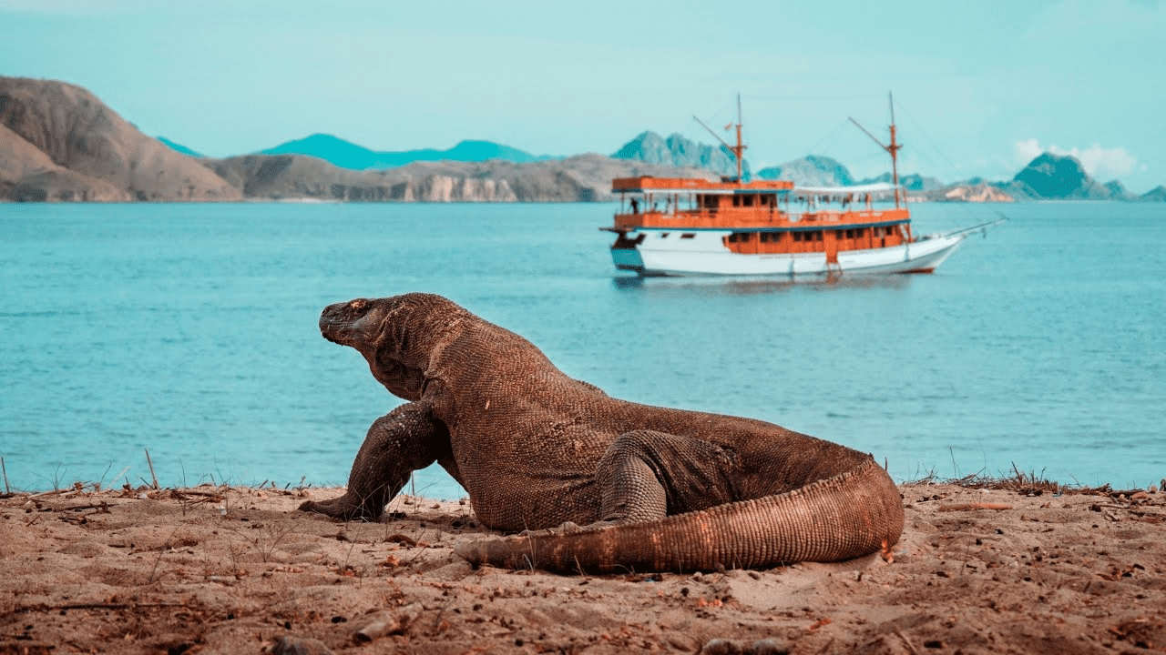 Komodo Island